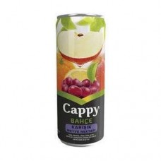 Cappy Kutu Karisik Meyveli