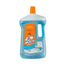 Mr Muscle Konsantre Yuzey Temizleyici Okyanus Sessizligi